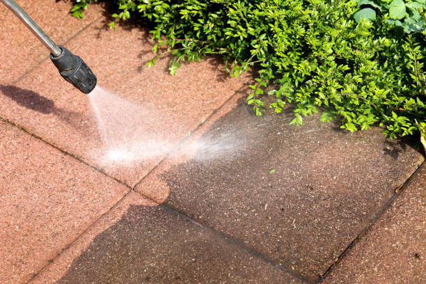 Best Deck Cleaning Services  in Bingham Farms, MI